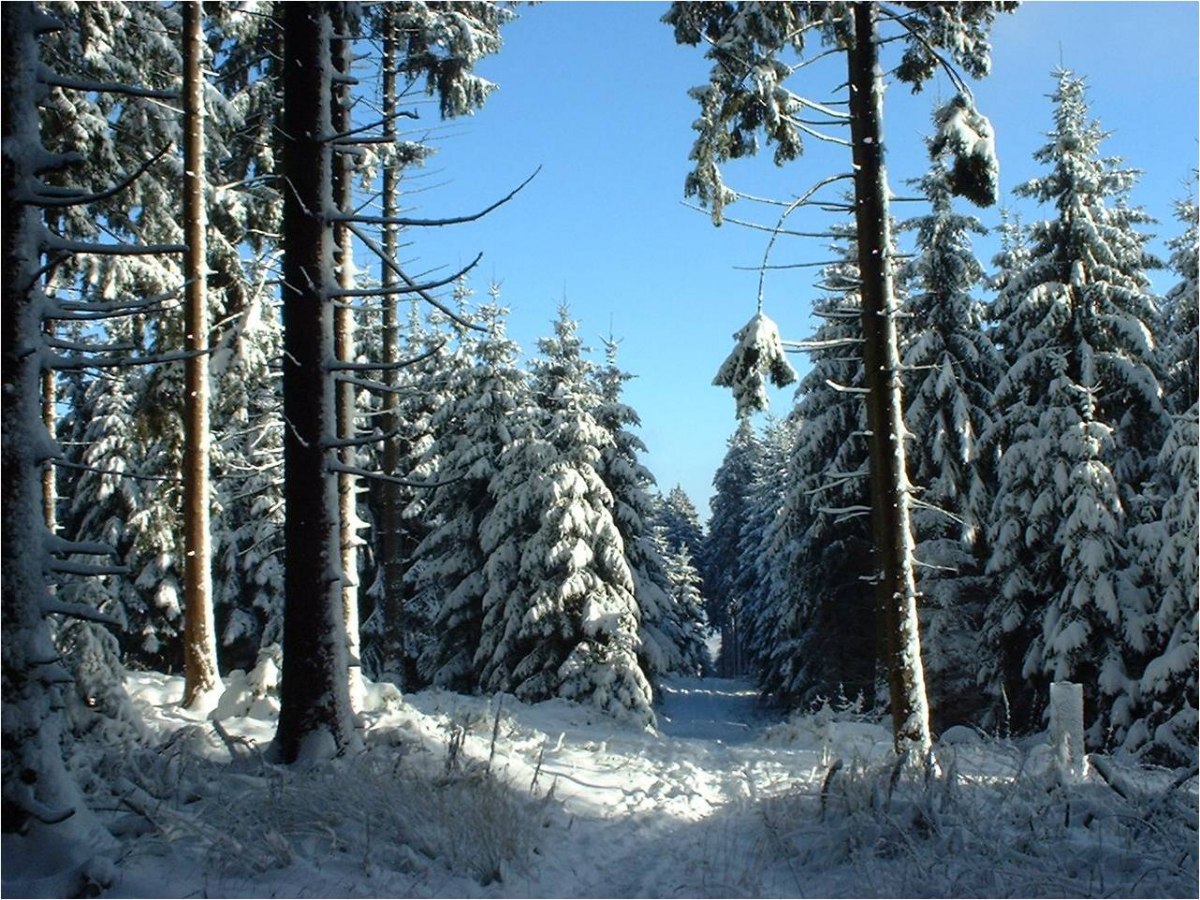 Winterlandschaft